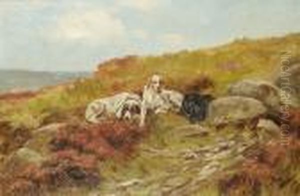 Three Setters In A Landscape. - view 1