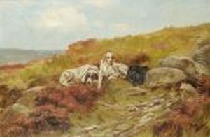 Three Setters In A Landscape. by Thomas Blinks