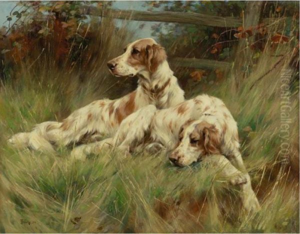 Two Setters Resting In The Grass - view 1
