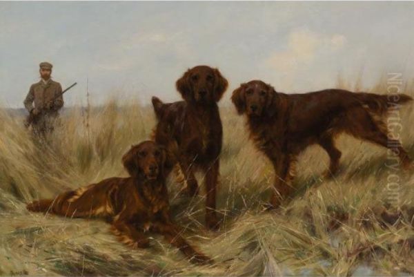 A Trio Of Irish Setters In The Field - view 1
