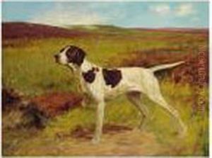 A Pointer In A Landscape A Pointer In A Landscape