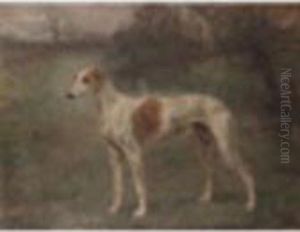 A Greyhound In A Landscape