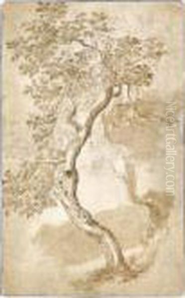 Two Trees - view 1