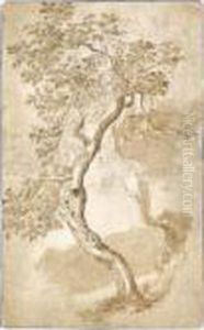Two Trees