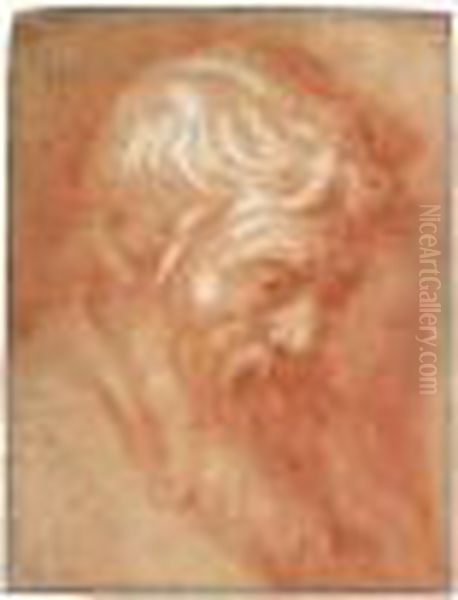 Head Of A Bearded Man - view 1