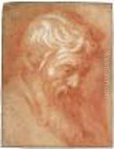 Head Of A Bearded Man by Abraham Bloemaert