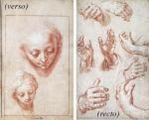 Studies Of Hands (recto); Two Studies Of The Head Of The Virgin(verso) by Abraham Bloemaert