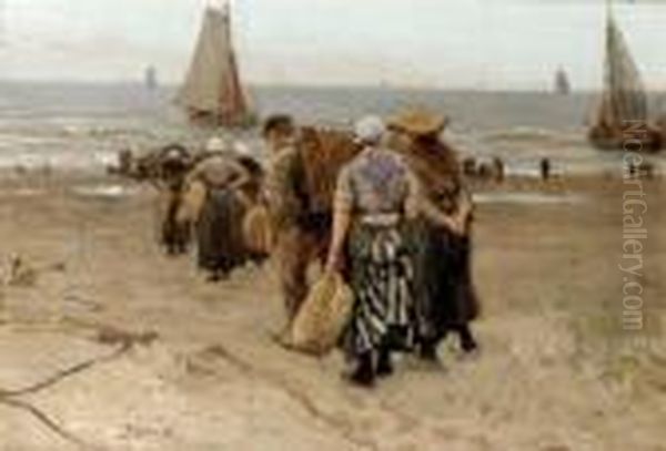 Collecting The Day's Catch - view 1