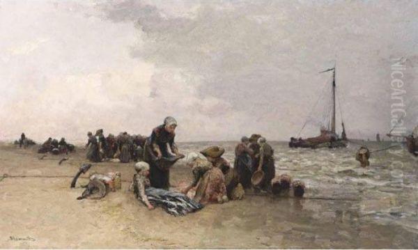 Sorting The Catch - view 1