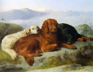A Golden Retriever, Irish Setter, and a Gordon Setter in a Mountainous Landscape