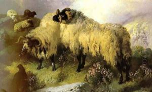 Highland Scene with Sheep and Grouse by George W. Horlor