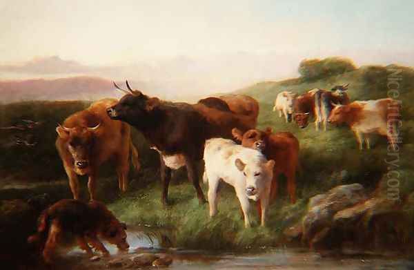 Highland cattle grazing - view 1