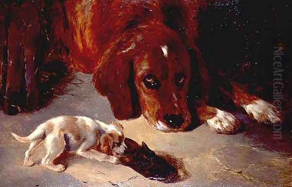 An Inquisitive Puppy - view 1
