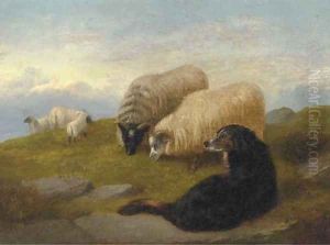 Sheepdogs guarding the flock by George W. Horlor