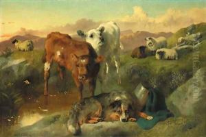 Calves and black-faced ewes with a sheepdog