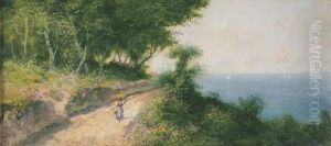 Passeggiata Sul Promontorio