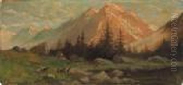Pascolo Alpino - view 1