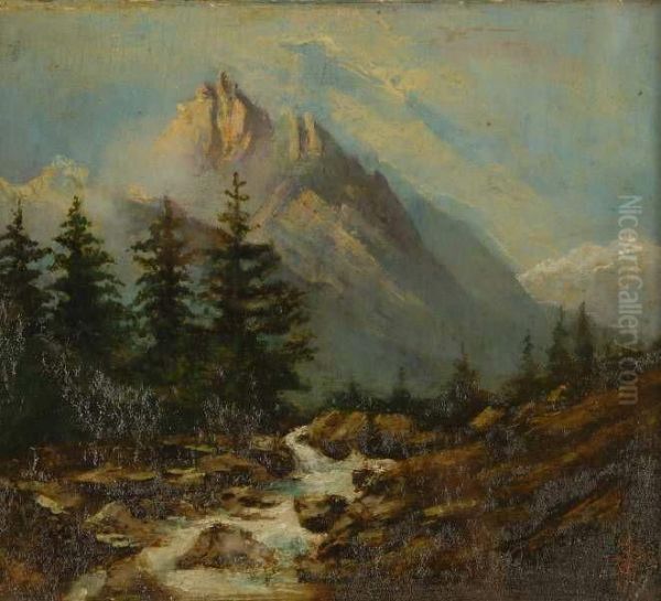 Torrente In Alta Montagna - view 1