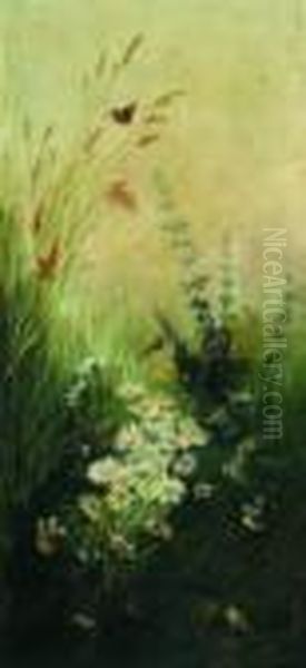 Fiori Di Campo - view 1