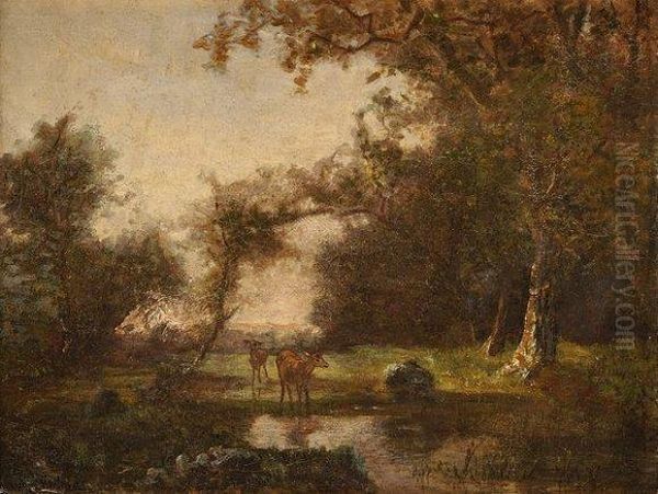 Chevreuils Enforet - view 1