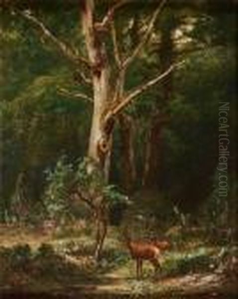 Biches Enforet - view 1