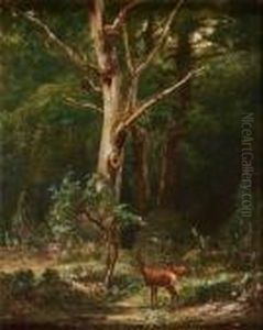 Biches Enforet