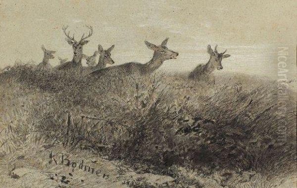 Cerfs - view 1