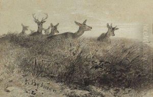 Cerfs by Karl Bodmer