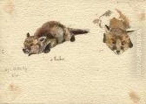 Renard A L'ombre Renard A L'ombre