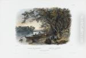 Encampment Of The Travellers