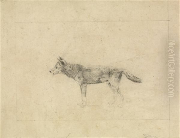 Le Loup - view 1