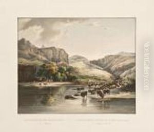 Herds Of Bisons And Elks On The Upper Missouri . [tab. 47]