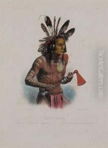 Mato-tope by Karl Bodmer