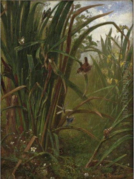 Marsh Interior - view 1