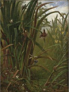 Marsh Interior by Karl Bodmer