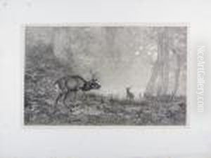 Collection De Vingt Eaux-fortes by Karl Bodmer