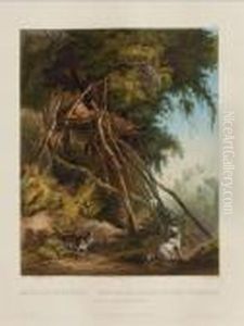 Tombs Of Assinboin Indians On Trees, From by Karl Bodmer