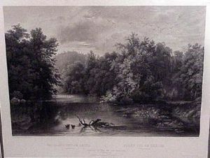 Forest Scene On The Lehigh