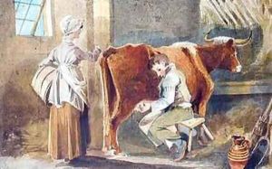 Milking by John Harden