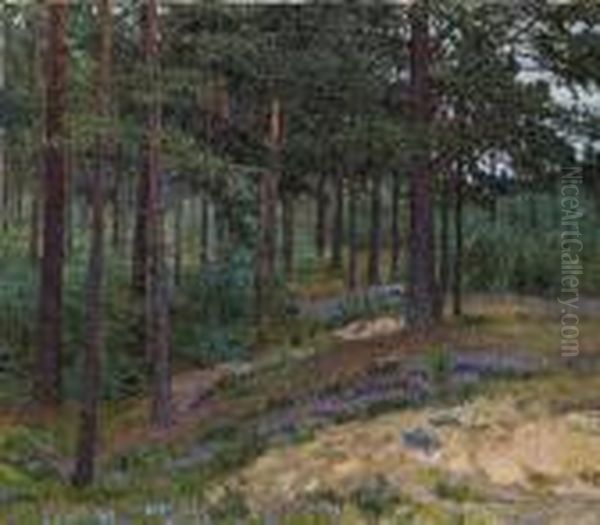 Floraison De La Brouyere - view 1