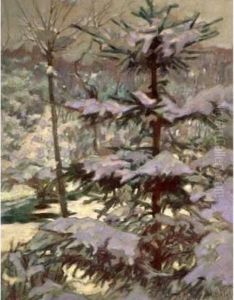 Foret De Sapins Sous La Neige Le Matin. Foret De Sapins Sous La Neige Le Matin.