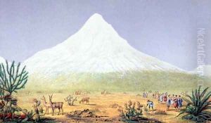 Chimborazo by Humboldt, Friedrich Alexander, Baron von