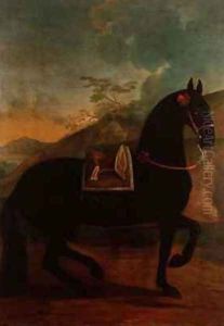 A Black Horse sporting a Spanish Saddle