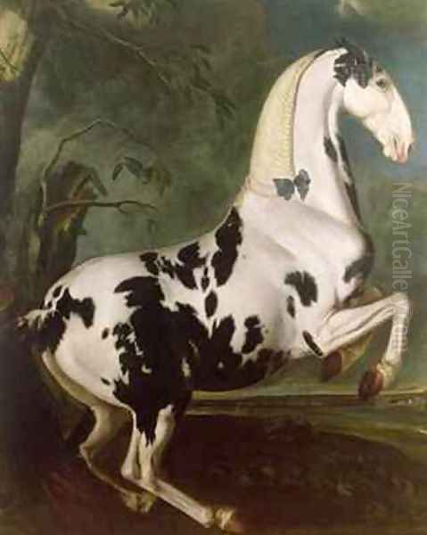 The Piebald Stallion at the Eisgruber Stud - view 1
