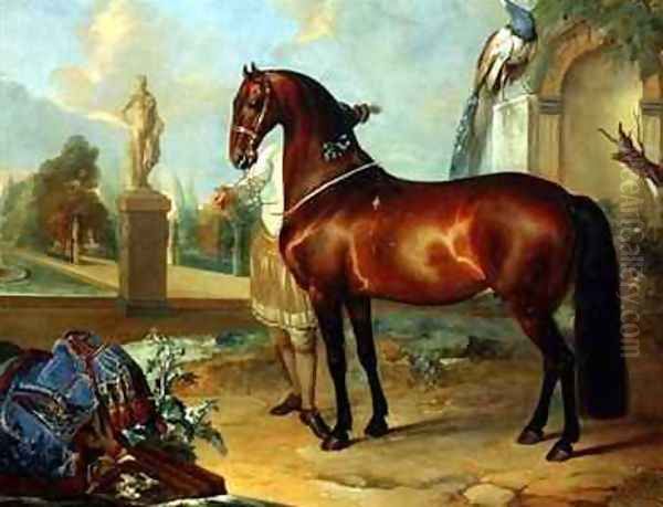 The bay horse Sincero - view 1