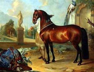 The bay horse Sincero
