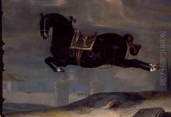 The black horse Curioso performing a Capriole - view 1