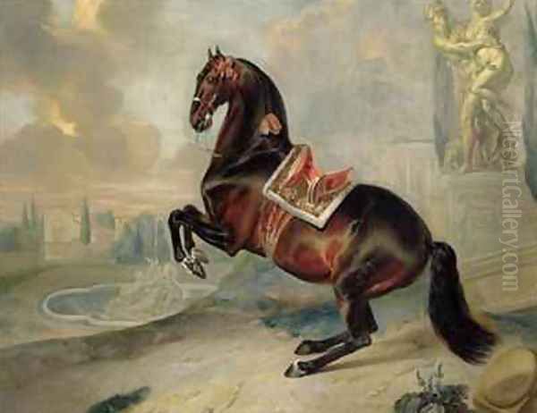 The dark bay horse Valido performing a Levade movement - view 1