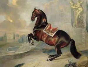 The dark bay horse Valido performing a Levade movement