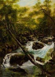 Forest River by William Joseph Caesar Julius Bond